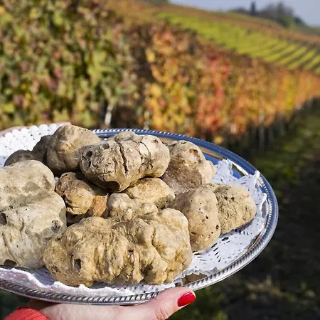 Trilo Stallelunghe C01 *